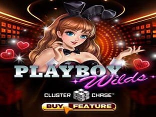 Playboy Wilds thumbnail